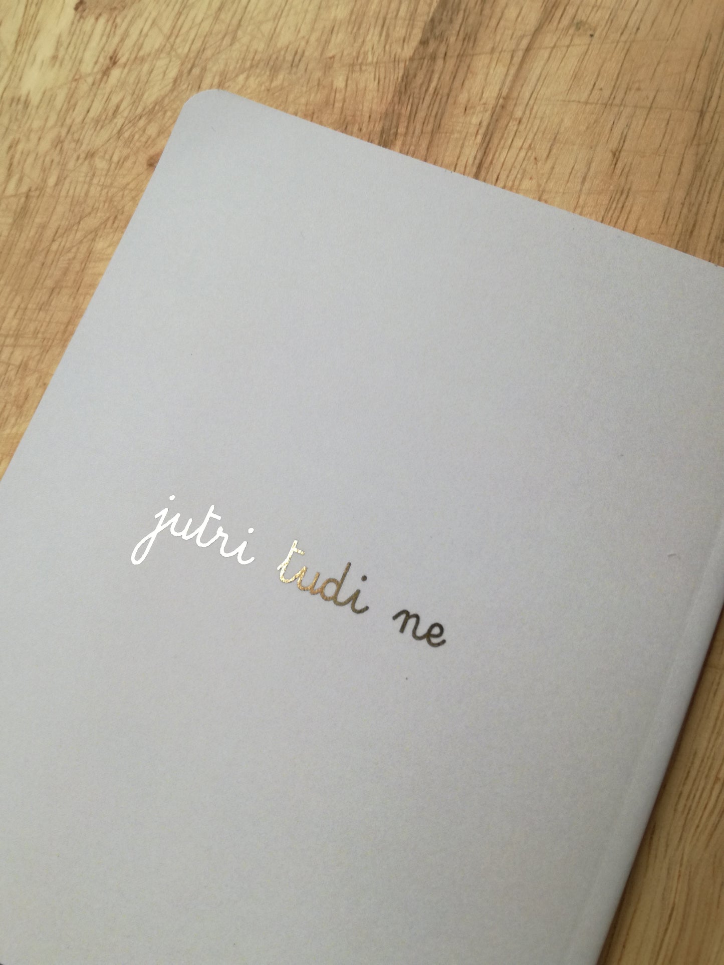 -50% OFF // DANES NE zvezek