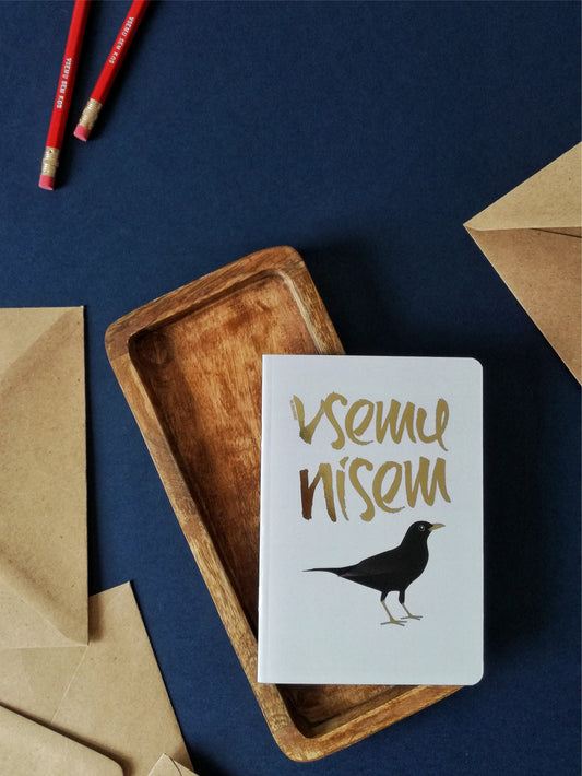 40% OFF // Vsemu SEM/NISEM kos // zvezek Z NAPAKO